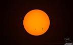 047 Venustransit.jpg