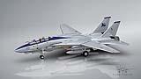 036 F-14B Tomcat (VF-213).jpg