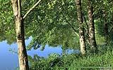 020 Gundwiesensee (Blick ins Wasser).jpg