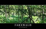 059 Farnwald.jpg