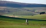 029 Hochsitz im Feld.jpg