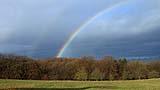 045 Regenbogen auf der Wiese.jpg