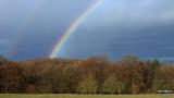 004 Regenbogen.jpg