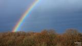 005 Regenbogen.jpg