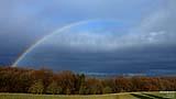 007 TOP SHOT - Regenbogen.jpg