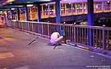 001 Angler am Wan Chai Ferryport.jpg