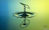 037 Splash blau-gelb (Schirm).jpg
