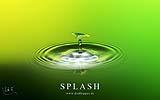 102 Splash gelbgruen (Schirm).jpg