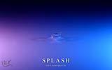 055 Splash rosa-himmelblau (Einschlag).jpg